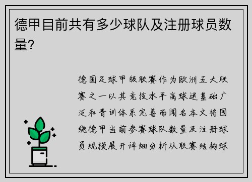 德甲目前共有多少球队及注册球员数量？